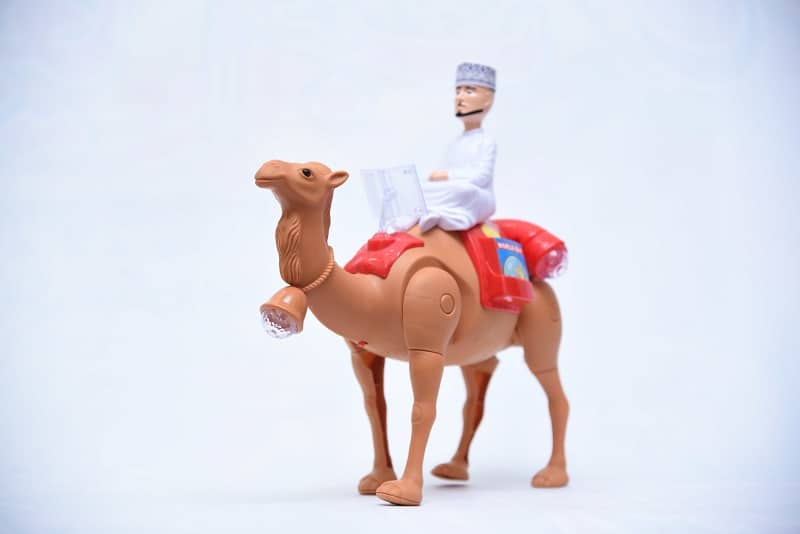 Arabic Desert Camel